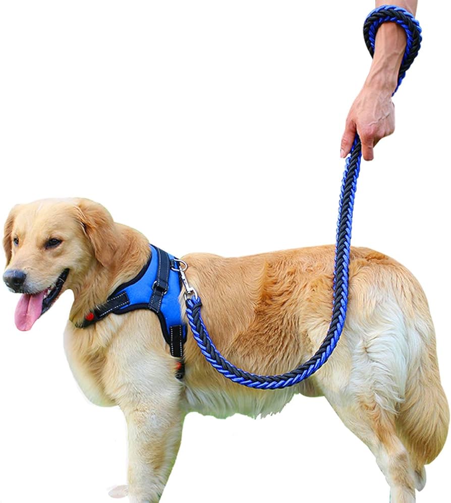 首輪・ハーネス・リード oto_okiku Amazon | OTOKU ハーネス リード付き 胴輪 首輪 犬 猫 小型 中型