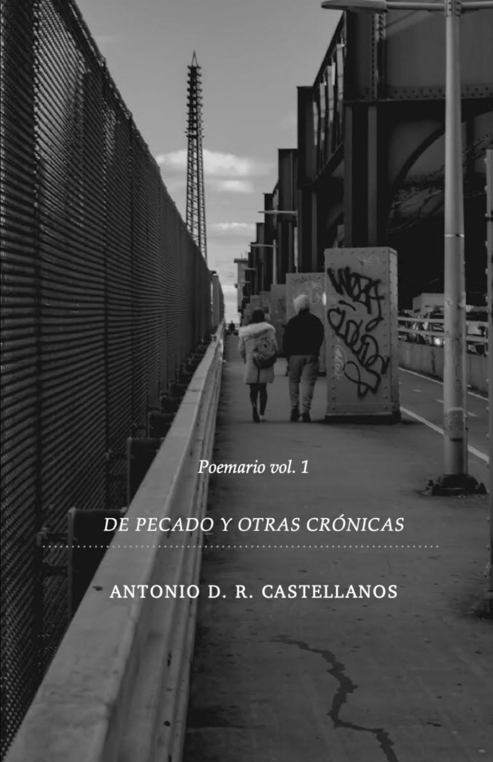 De pecado y otras crónicas: Poemario