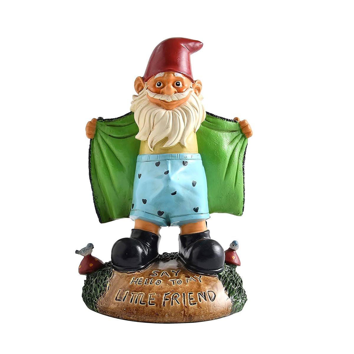 doyeozoowen Funny Garden Gnome Statue Resin Gnomes Figurines SAY Hello to My Little Friend Indoor Ornament Gift Outdoor Garden Decorations for Home Patio Yard Lawn Porch (Green)