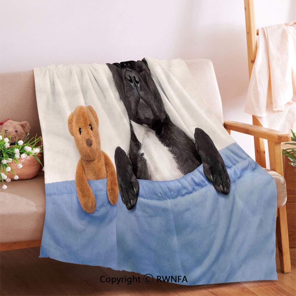 Sleeping Teddy Bear Quilt Pattern – FREE Quilt Patterns