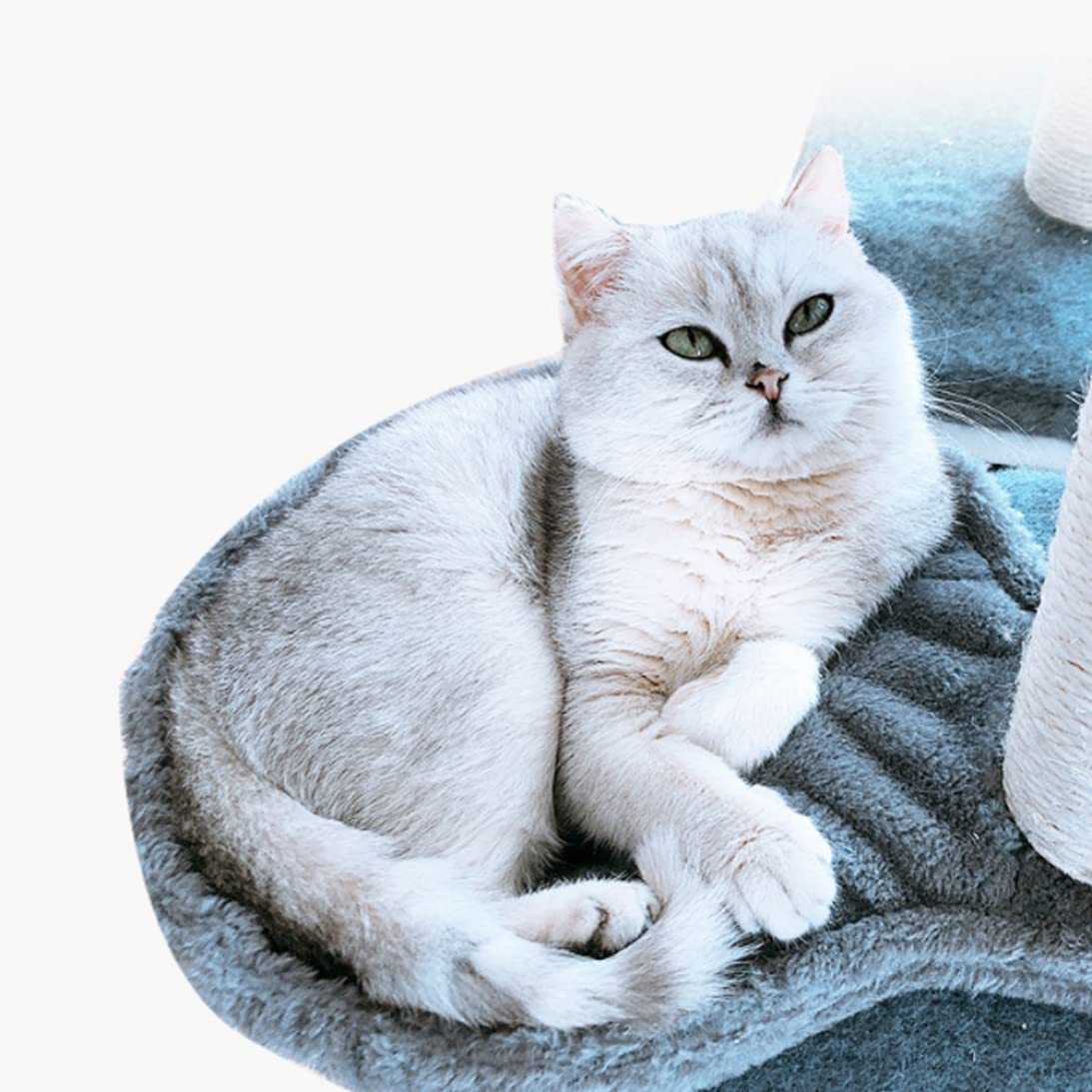 Hamaca para árbol de gato, torre de gato gris, cesta de repuesto para cama de hamaca, juguetes colgantes con hamaca para todos los gatos