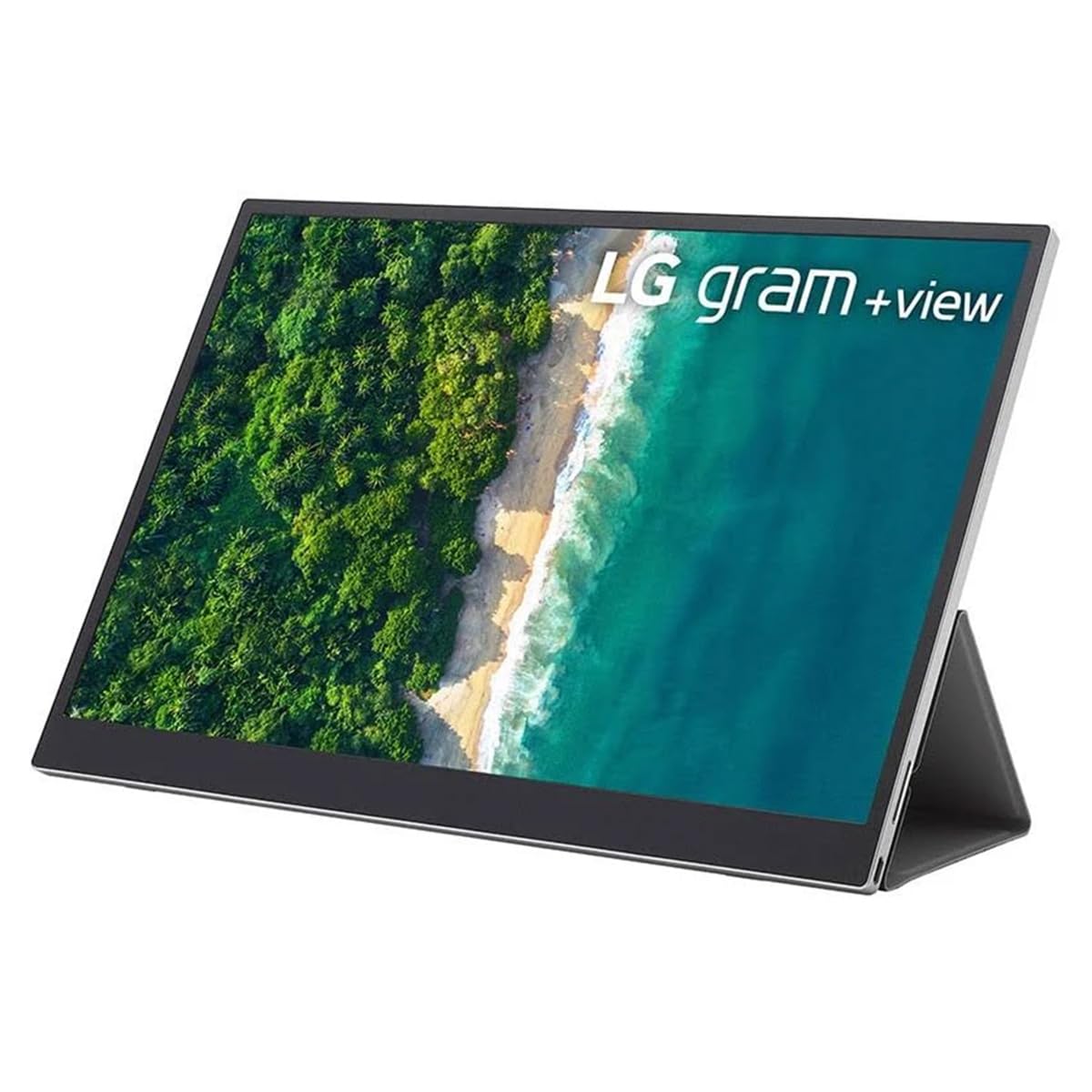 Amazon.com: LG 16MR70.ASDU 16'' IPS WQXGA +View Portable