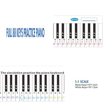 Amazon.co.jp: DANUDON 88 鍵盤 ピアノノートチャート 初心者用