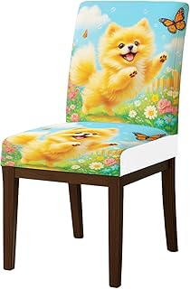 HOMETITUTE High Stretch Chair Covers for Dining Chairs Washable Dining Chair Covers Set of 4 Soft Kitchen Seat Cover Cute Pomeranian Butterfly for Home Hotel Restaurant Banquet