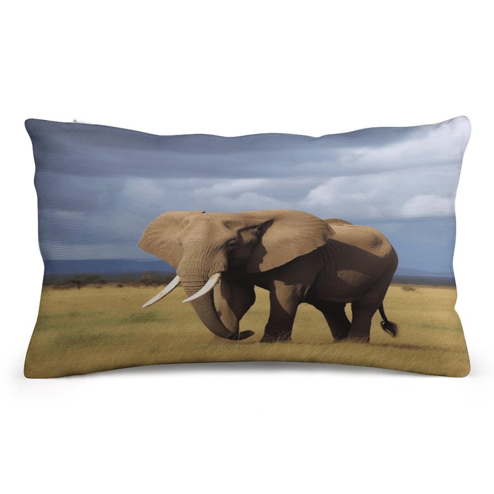 FekiLoot Africa Grassland Elephant Pillowcases Super Soft Cozy Lumbar Decorative Throw Pillow Covers Plush Pillow Shams with Zipper Double-Sided Decorative Pillows Shells for All Seasons