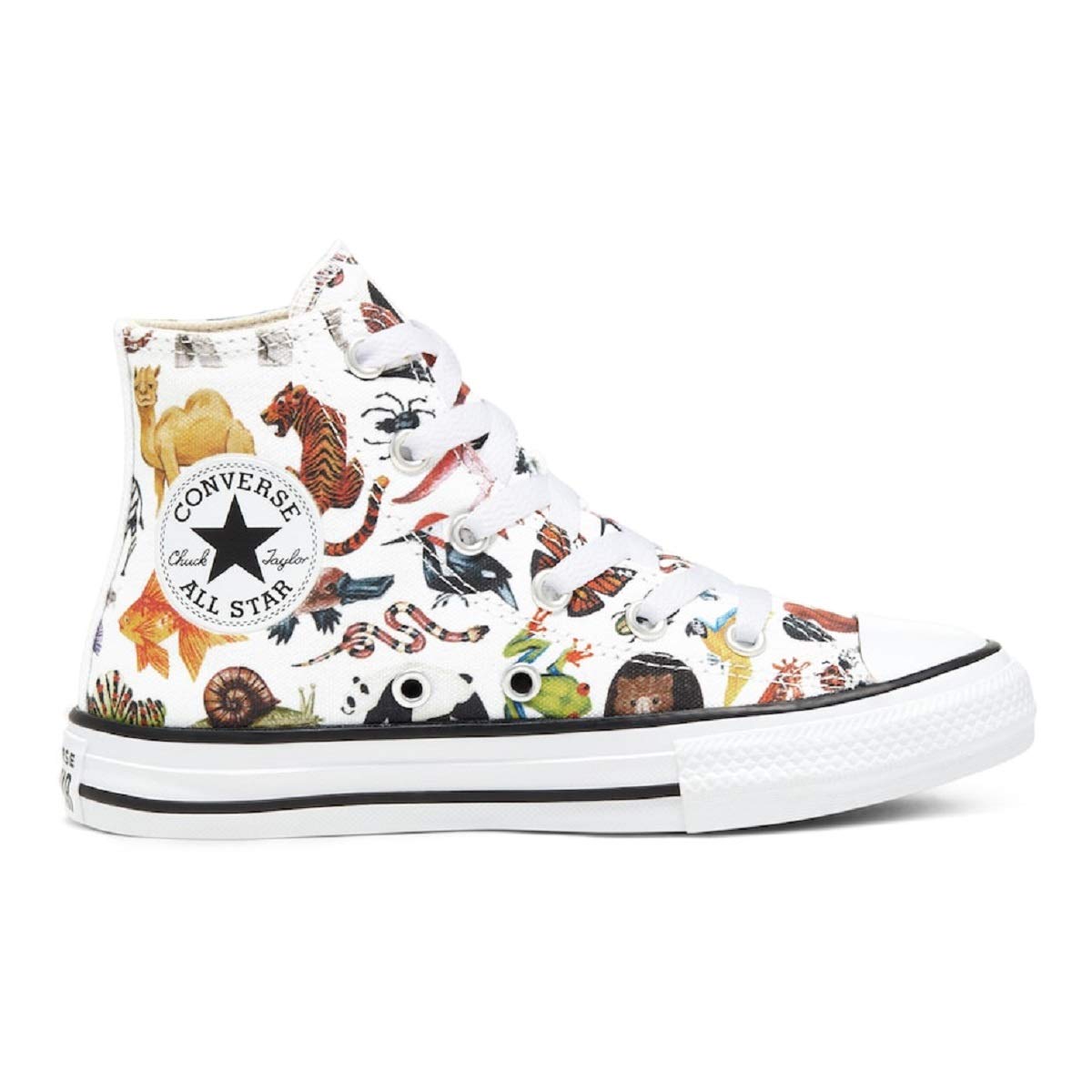 Unisex Child Kids Chuck Taylor All Star Dinoverse High Top