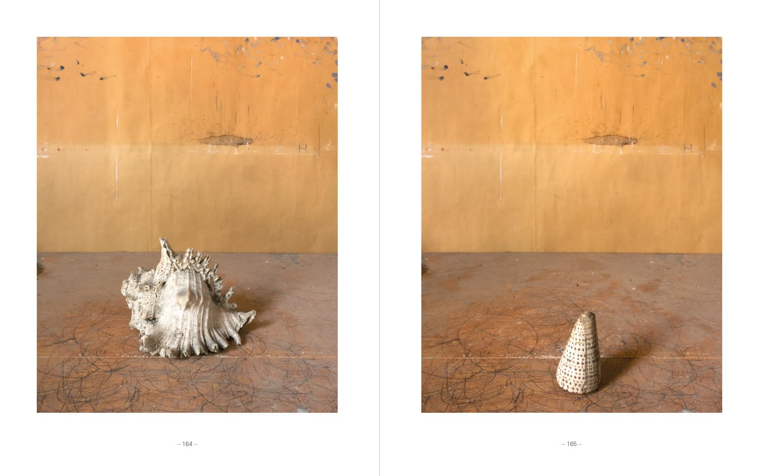 Morandi's objects. The complete archive of Casa Morandi