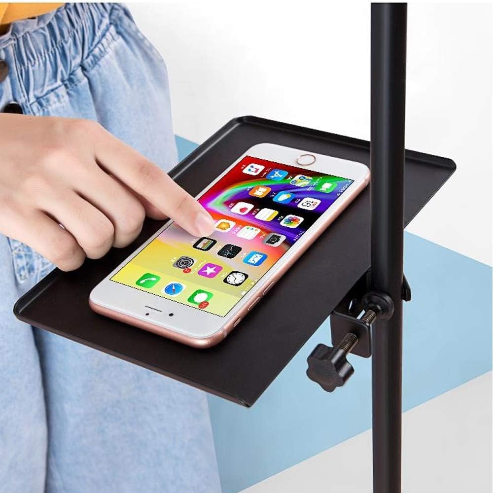 Mic Microphone Tray fits all Music sheet TRIPOD stand, Mic,Microphone Stand Karoke Stand, Clamp-On Rack Tray ((Check first ..its SMALL SIZE for mouse and mic ))