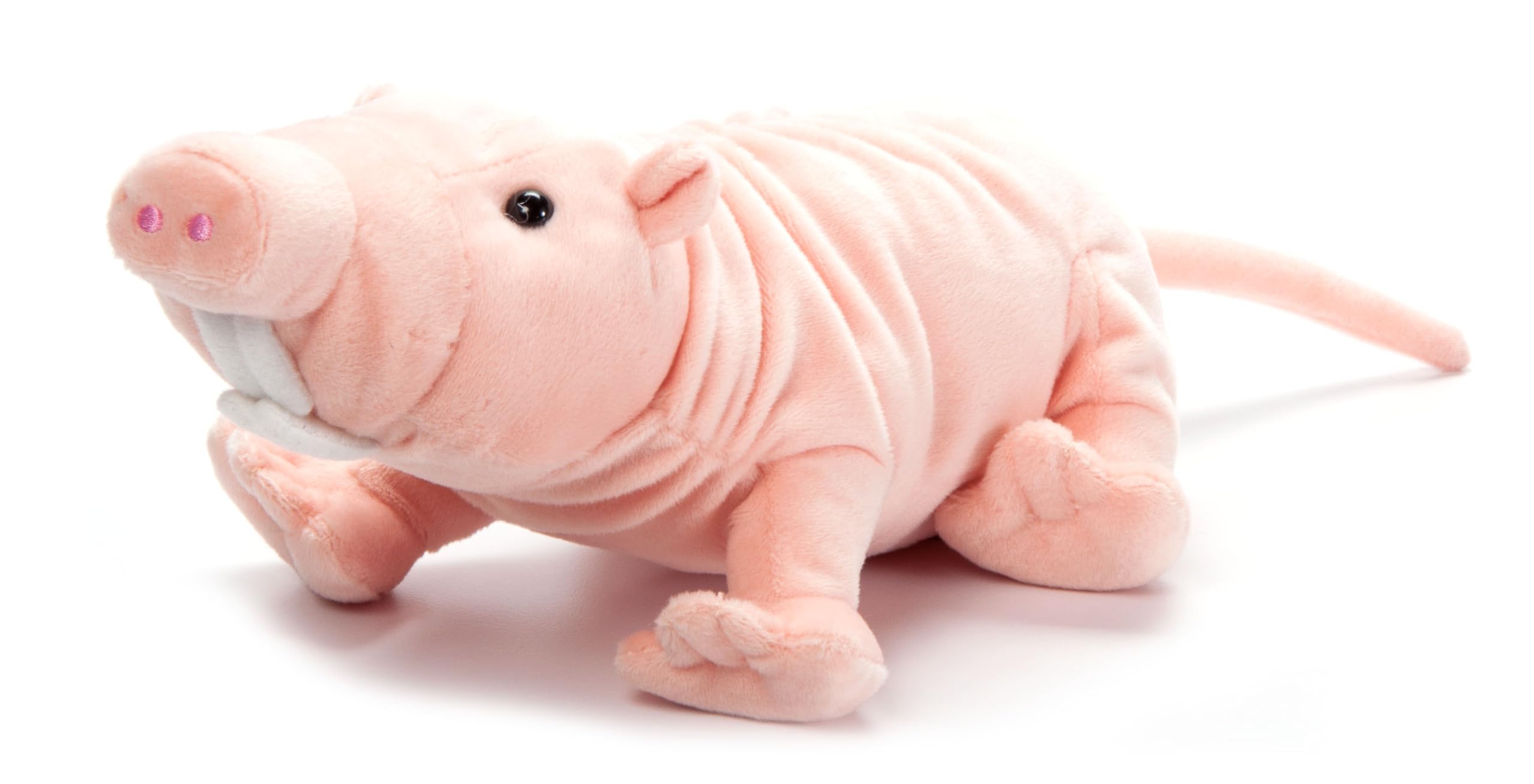 Amazon.com: The Petting Zoo Naked Mole Rat Stuffed Animal, Wild