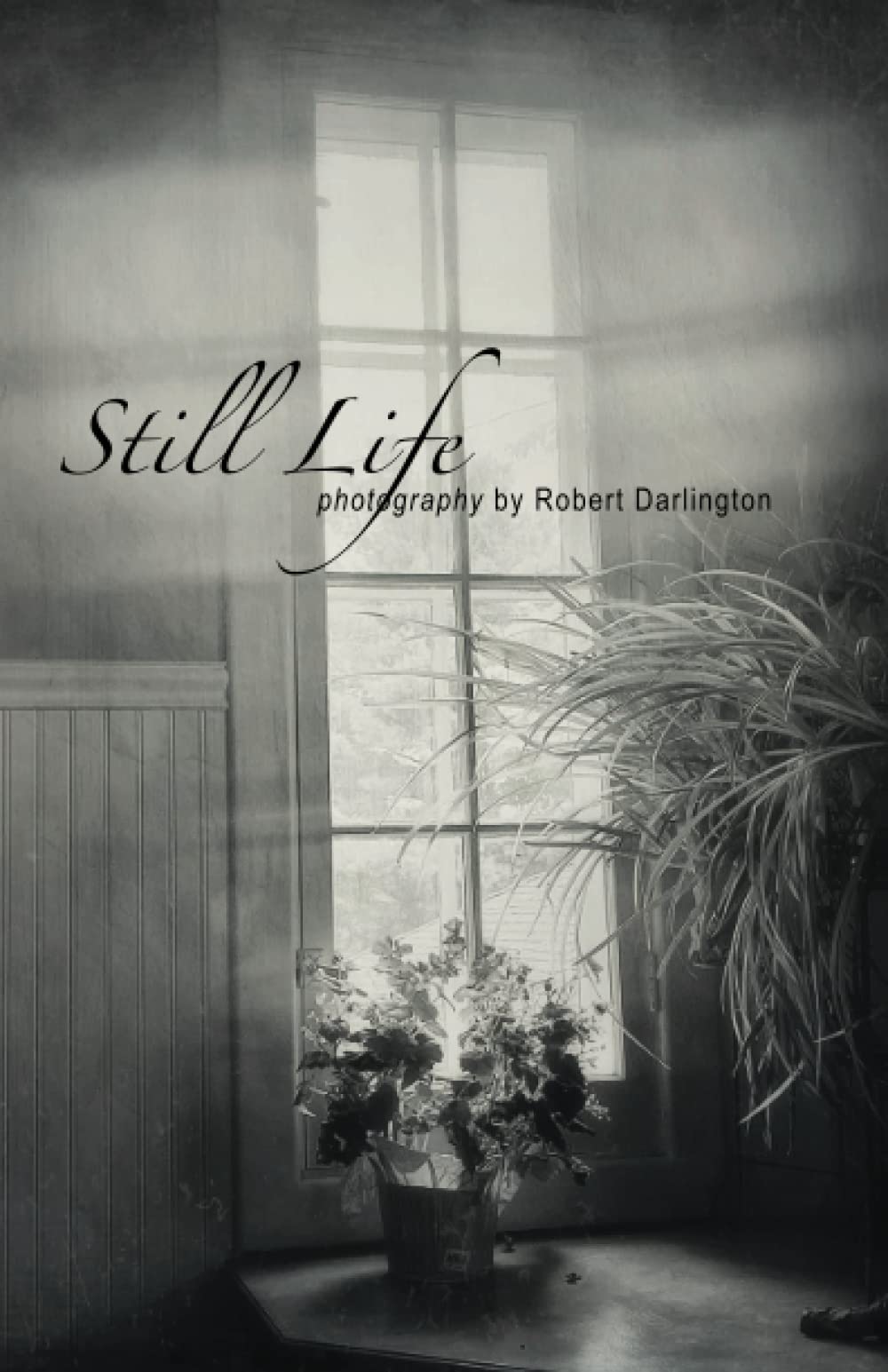Still Life: a collection of black and white photography