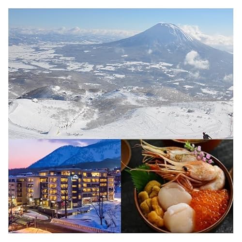 [北海道ツアー]チャトリウムニセコ ファミリーステイ×高級懐石ディナー×スキーリフト券(750,000円分)[3泊4日×4名分][12月15日-3月31日]宿泊券 旅行チケット