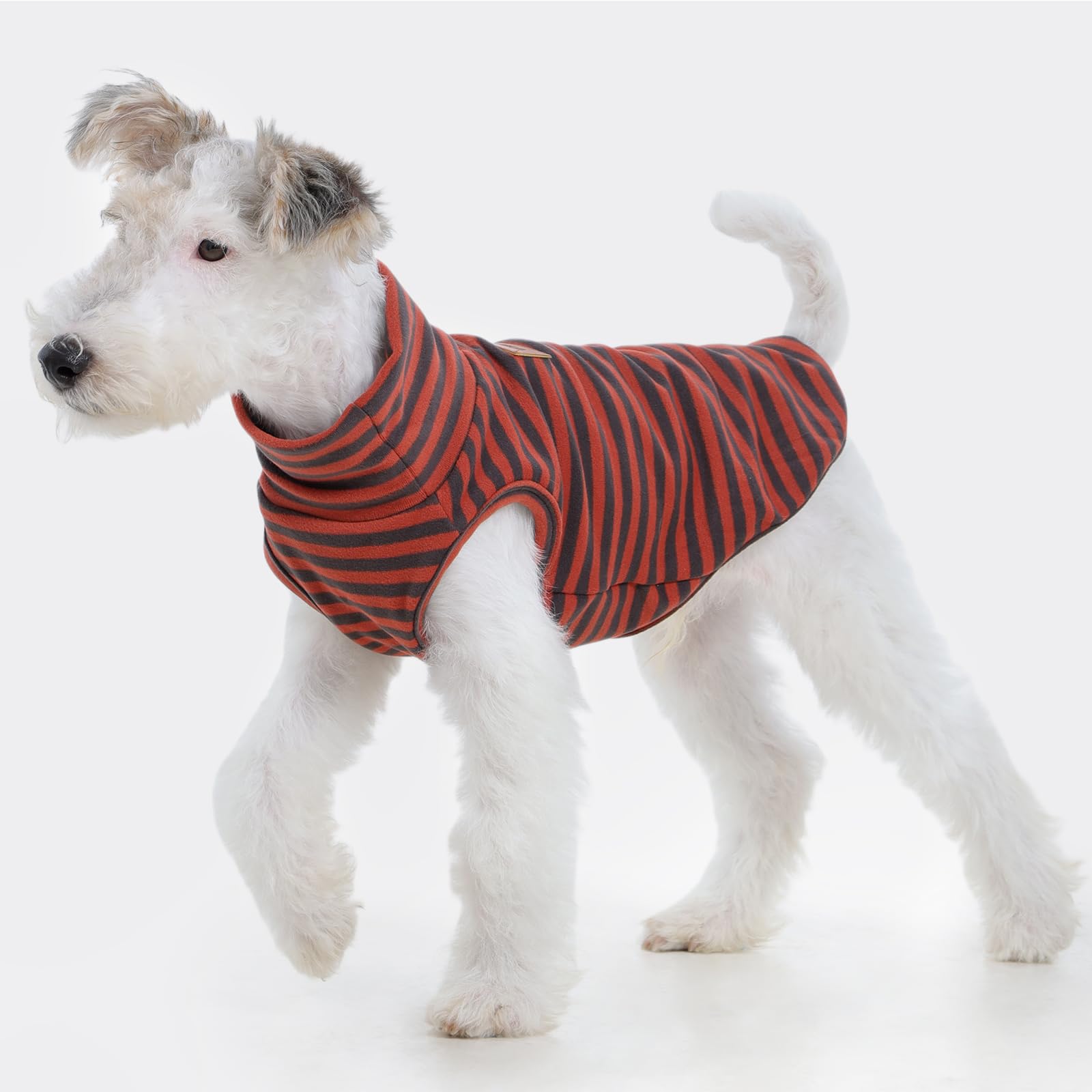 FUAMEY Lot de 2 gilets en polaire pour chien de petite taille, maltais, chihuahua maltais, chandail d'hiver sans manches avec trou pour laisse, chihuahua maltais, orange, taille S