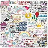 Sarcastic Quotes Stickers Sarcasm Sticker for Adults Icicrim Funny Stickers for Laptop Phone Water Bottle Sticker 50PCS Vinyl Humorous Quotes Decals
