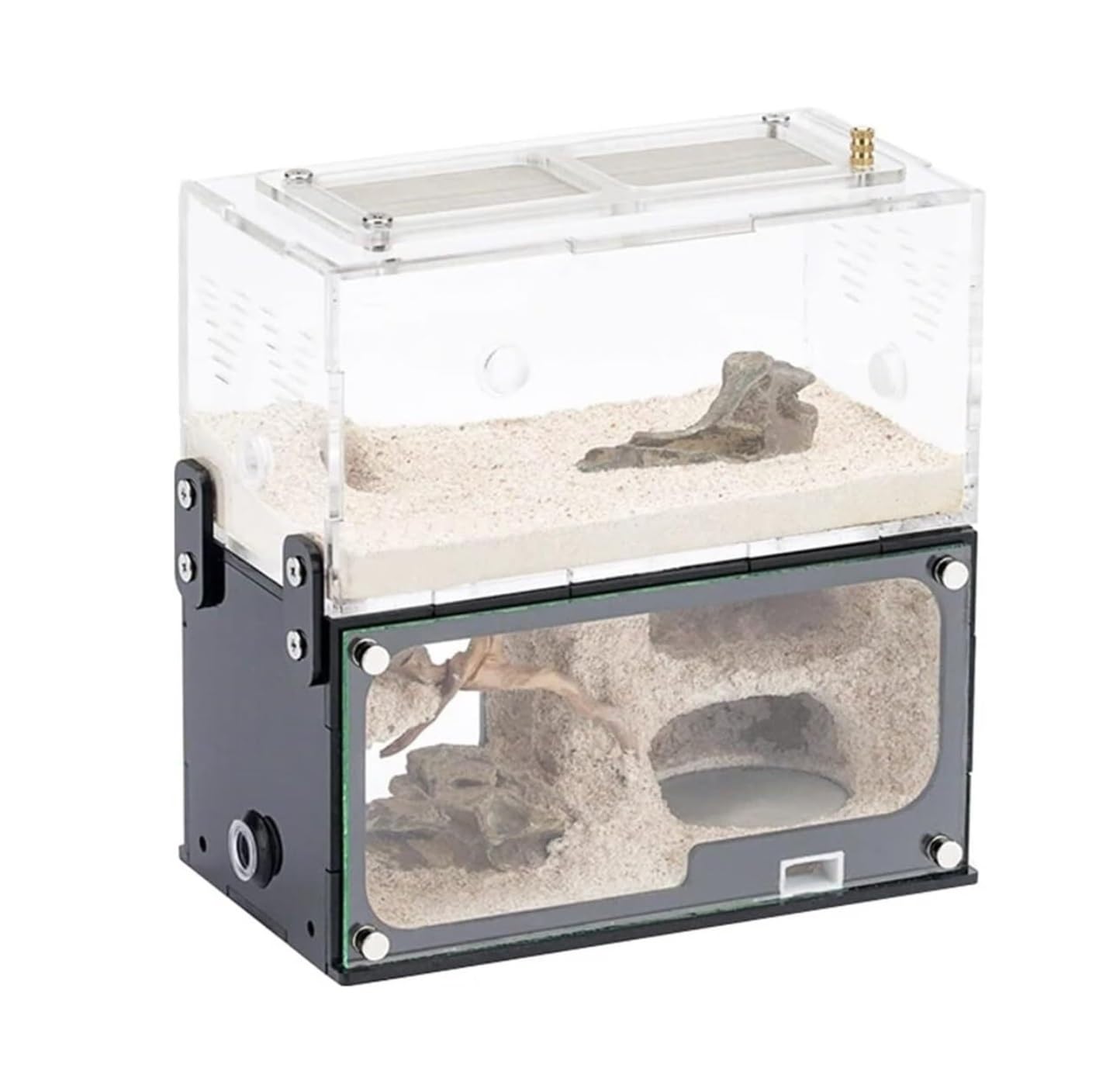 Ant Farm Espansione Formica Nido Idratare Formicarium Box Laboratorio Educativo Acrilico Insetto Villa Formiche Casa Castello