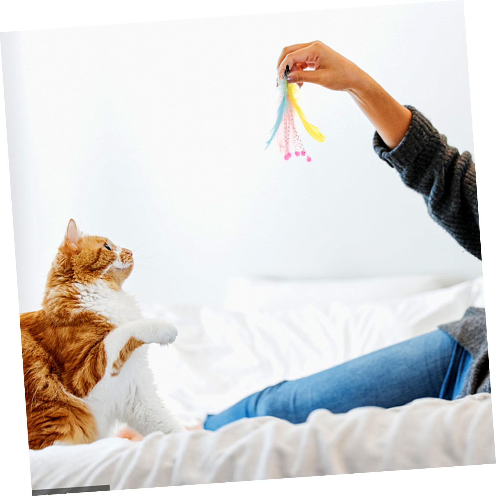 Mipcase 32pezzi Giochi Interattivi Per Gatti Con Piume Sostituibili Accessori Per Gatti Indoor Per Allenamento e Divertimento