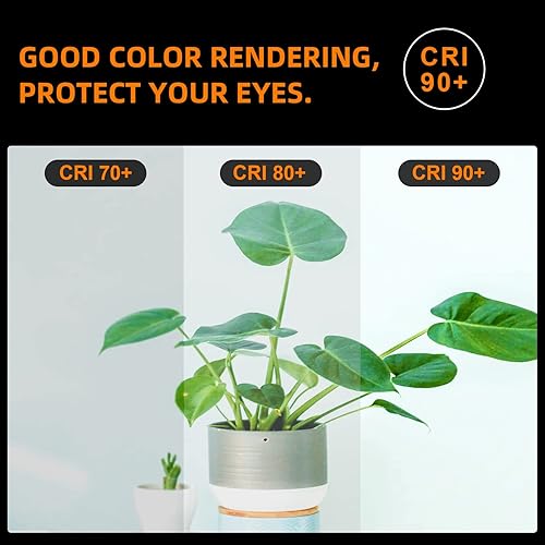 Miniatura 6 de LUXON Bombillas LED Edison, 4 vatios (equivalente a 40 W), regulables, luz diurna de 4000 K (vidrio ámbar) con CRI 90+, bombillas Edison de