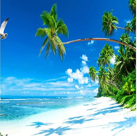 Amazon Sunkumo カスタム3dルーム風景壁紙風景海辺のサニービーチ青い水と白い雲壁壁画寝室の壁紙 400x280cm 壁紙