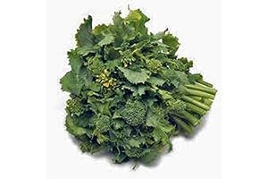 Broccoli Rabe Seeds for Planting, Culinary Delight