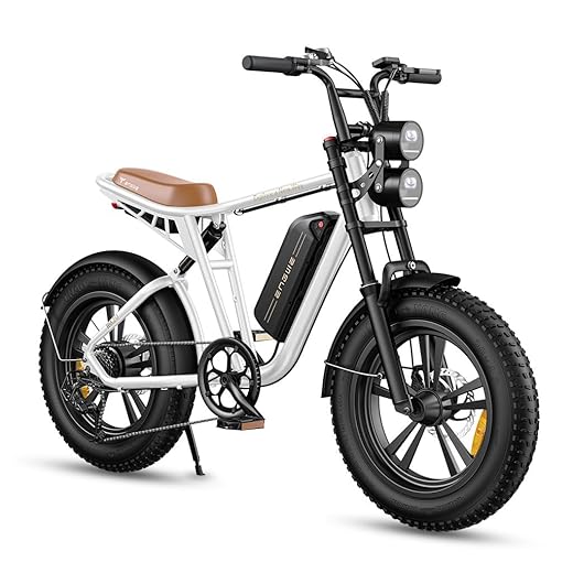 ENGWE E Bike Hommes Vélo électrique-Ebike avec Une Batterie/ 2 Batteries, E-Bike 20 * 4.0 Pouces Pneus Gras, Ebike Hommes jusqu'à 75km/150km/90km/170km, Vélo électrique 7 Vitesses, M20/M1