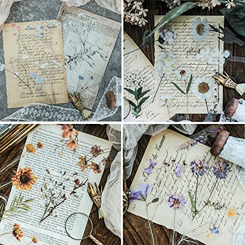 180 Pieces Transparent Flower Stickers,Pet Vintage Clear Flower Plant Stickers For Scrapbooking Journal,Album,Laptop,Card Making #TOP2