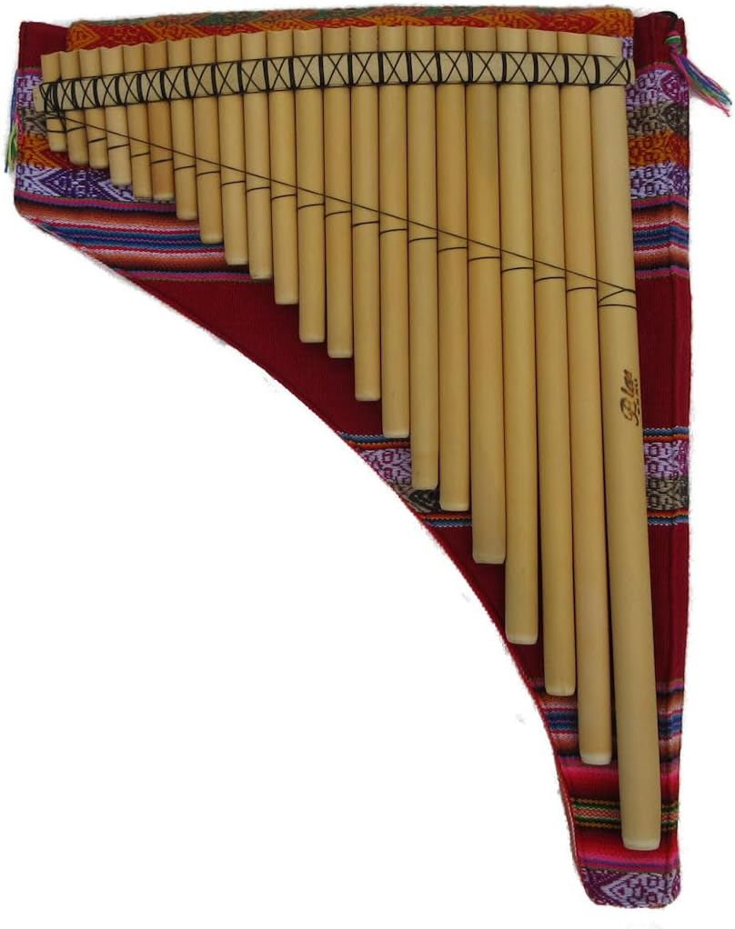 SUZUKI　和楽　TES-10０　大型　電子大正琴　スズキ SUZUKI 和楽 TES-100 大型 電子大正琴 スズキ SUZUKI 電気