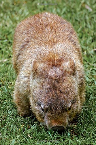 An Australian Wombat Journal: 150 Page Lined Notebook/Diary