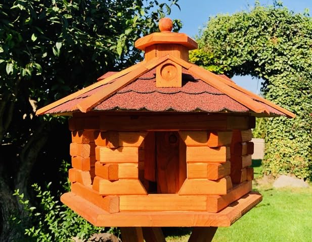 Mangeoire oiseaux bois étanche pour protéger les graines de la pluie et humidité