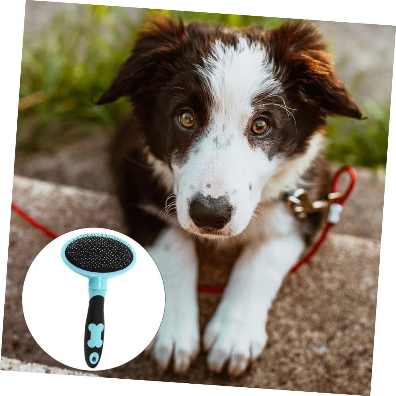 POLGDW 2 szt. Pet Petg Cat Comb Brush Pet Comb Cat Hair Brush Pet Hair Dog Brush dla zwierząt domowych szczotka do masażu Grzebień do podszerstka dla kota Narzędzia kosmetyczne Szczotka parowa dla kot
