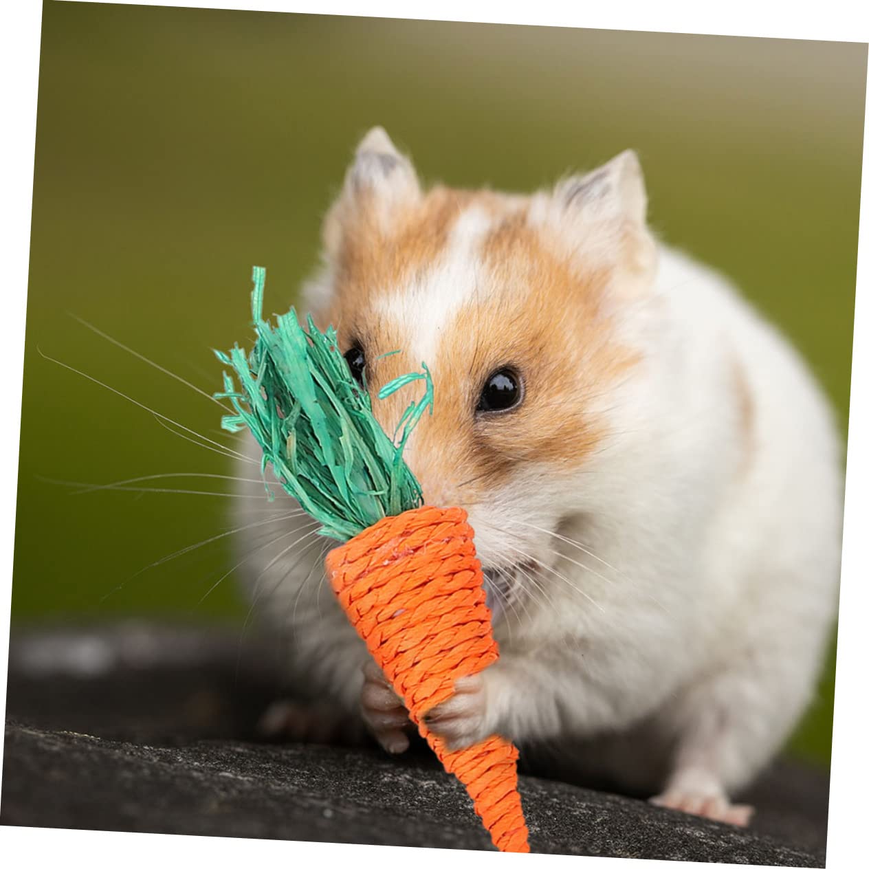 BESPORTBLE 36piezas Juguetes para Hámster y Pequeños Roedores Accesorios De Enriquecimiento para Conejillos De Indias Chinchillas y Conejos Juguetes Masticables Naturales para Actividad y