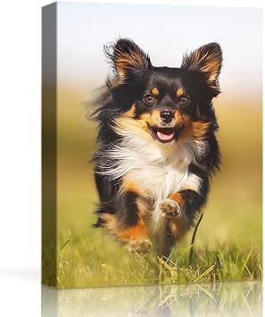 HYN Custom Canvas Prints Personalized Canvas Wall Art With Your Photo 5" Wx7 H