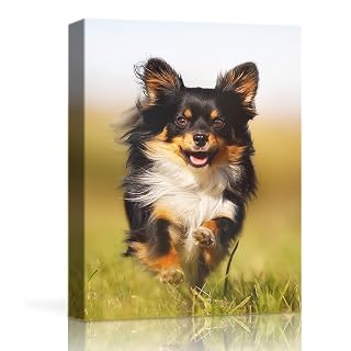 HYN Custom Canvas Prints Personalized Canvas Wall Art With Your Photo (5" Wx7 H) - Amazon product rated Grade A