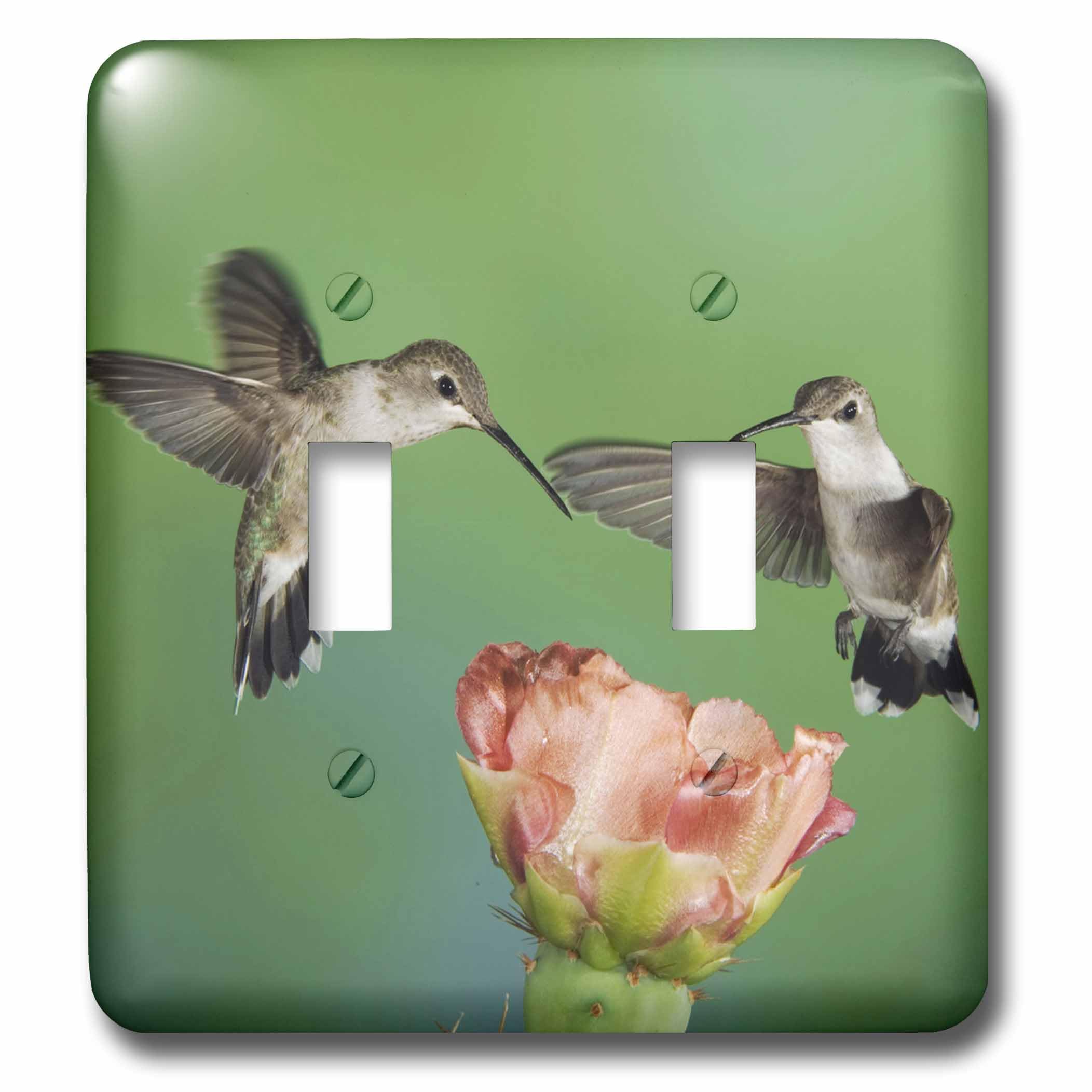 Interrupteur à bascule double 3dRose lsp_84201_2 colibri cactus