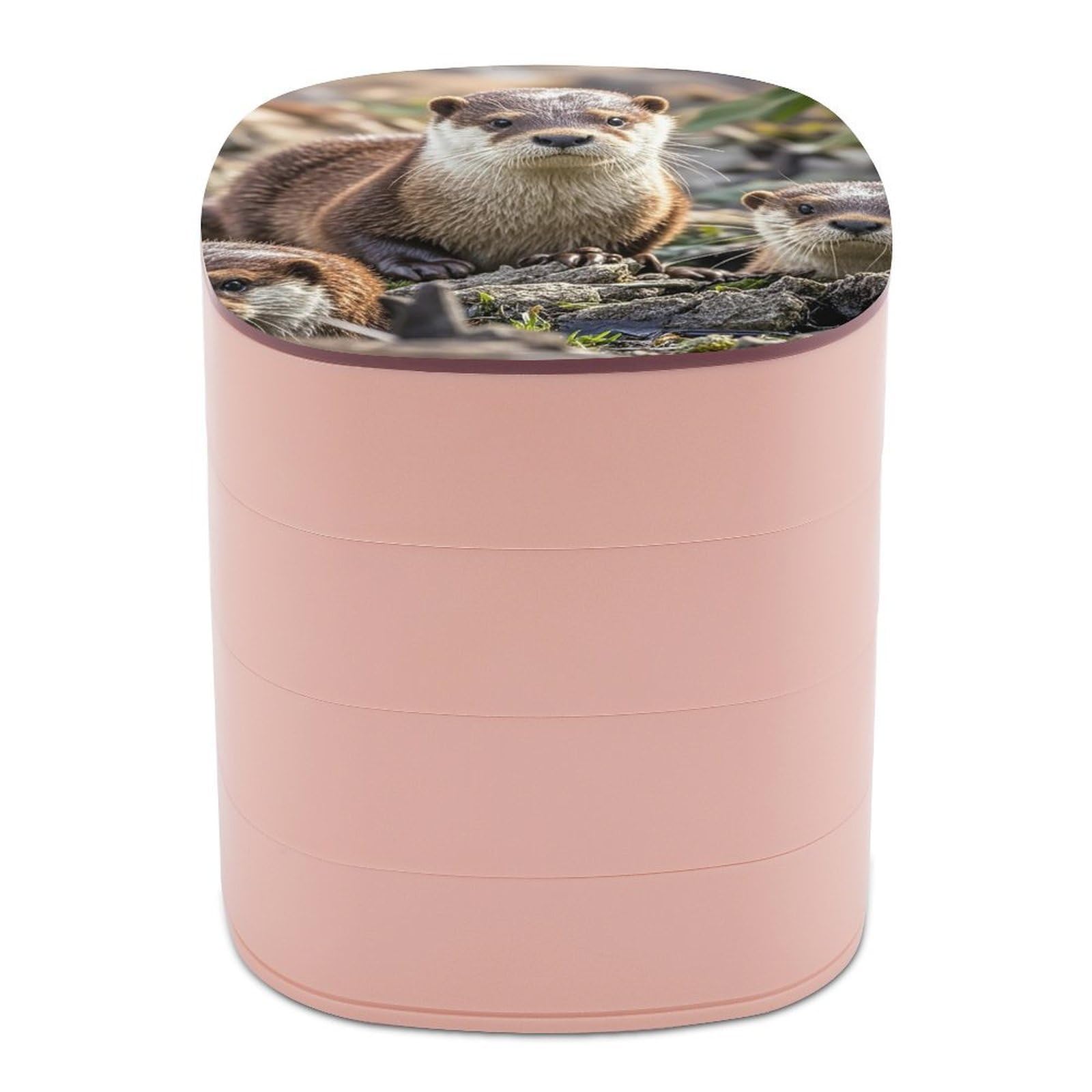FekiLoot Rotating Animal Cute Brown Otters Jewelry Box Large Capacity Jewelry Organizer with Mirror 4 Tier Hoop Ring And Earring Holder With Lid Small Travel Jewelry Case for Women