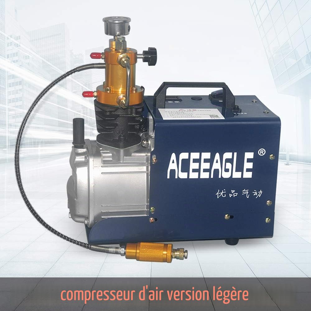 Pompe à air haute pression 220 V 300 bar 30 MPA 4500 PSI Compresseur PCP Airgun Scuba