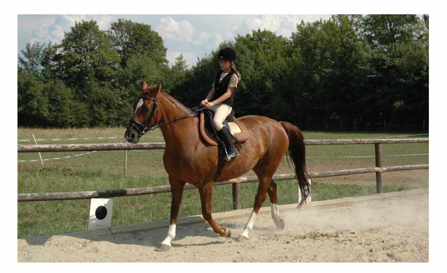 Amesbichler Reitsport Harrys Horse Stiefel und Helmtasche extra Helmtasche Reitstiefeltasche Tragetasche für Reitstiefel schwarz Stiefel-Helmtasche Reitstiefel Tasche Stiefel Beutel