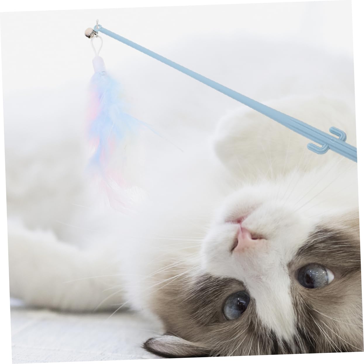POPETPOP 20 Pièces Chat Teaser taquineries tentures Jouets pour Chats pour s d'intérieur taquin Cactus Canne à pêche Accessoires de Jouet pour la Plume