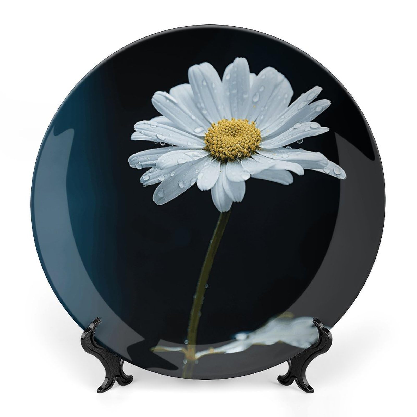 Assiette décorative en porcelaine anglaise avec support de présentation mural