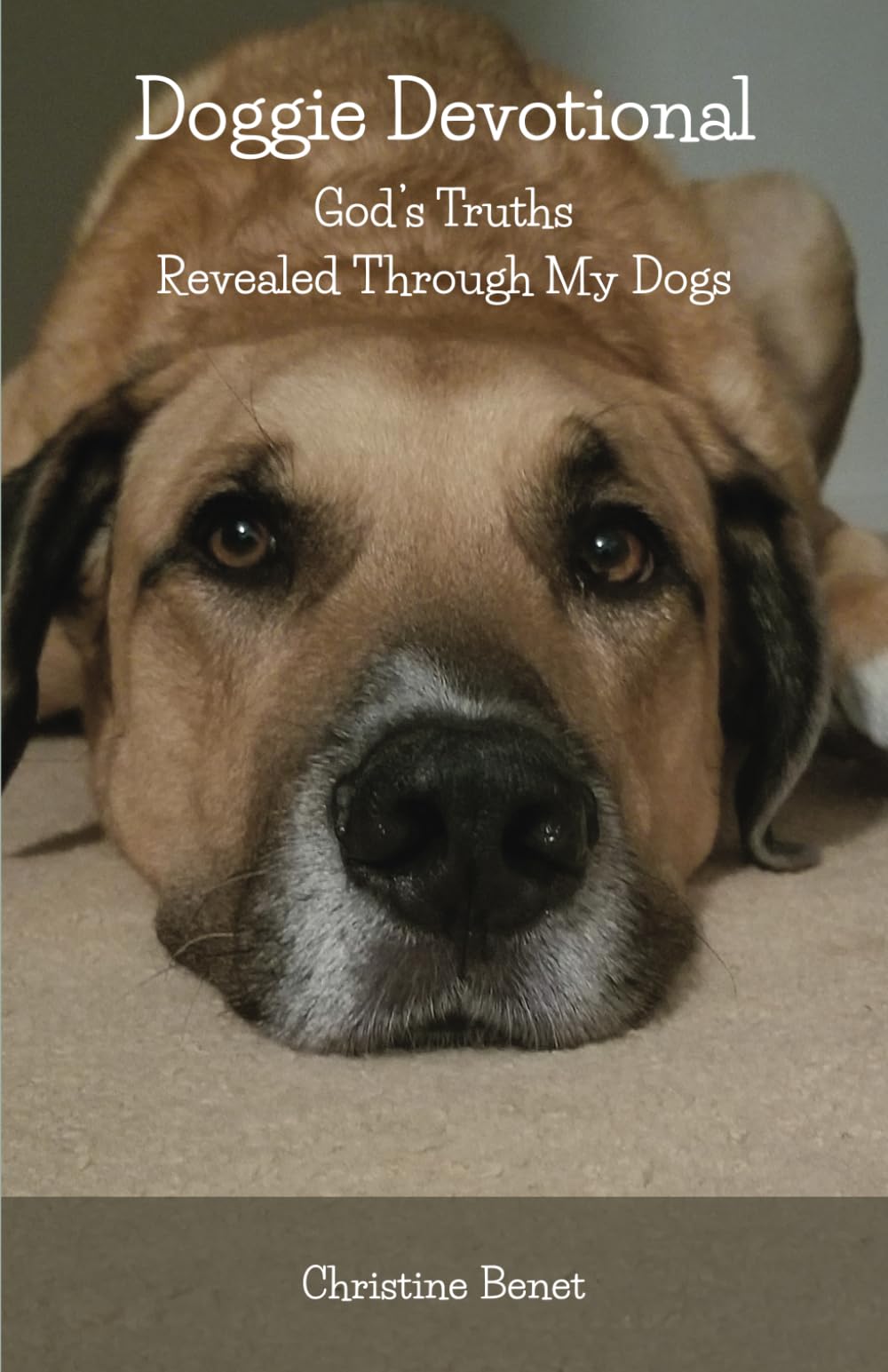 Doggie Devotional: God's Truths Revealed Through My Dogs