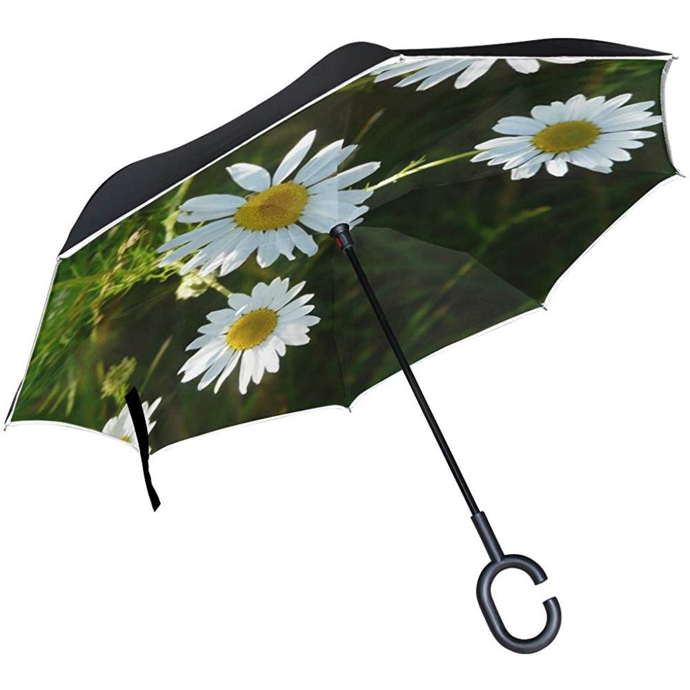 Alice Eva Inverted Umbrella Genuine Chamomile Matricaria Chamomilla Chamomile Umbrellas Reverse Folding Umbrella Big Straight Umbrella