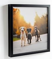 Vista 5 de 41x30 Black Picture Frames - Ready to Hang Solid Pine Wood Poster Frame - Photo Frame Polished Glass Front Clear Plexiglass Display Photograph