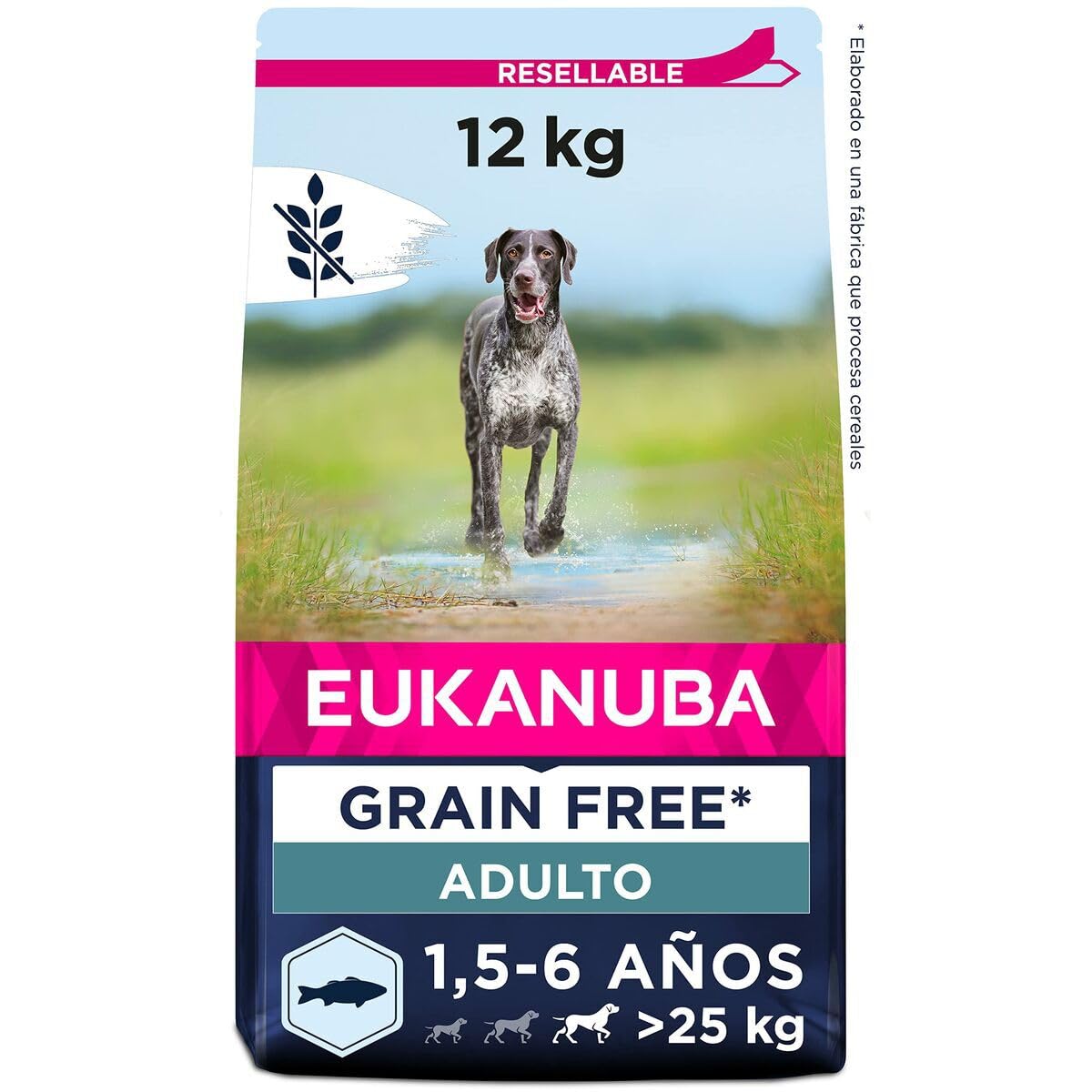 Eukanuba Adult Large Breed | z rybą | 12kg
