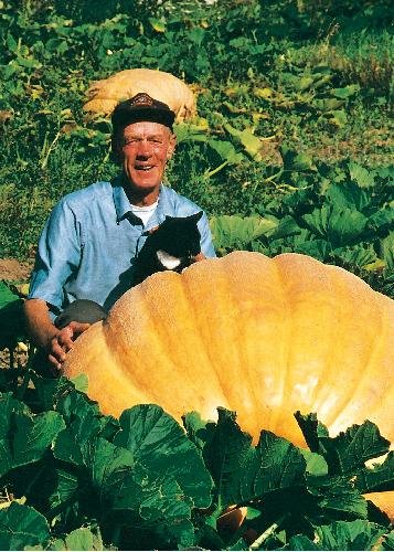 TROPICA - Zucca Gigante atlantico (Cucurbita