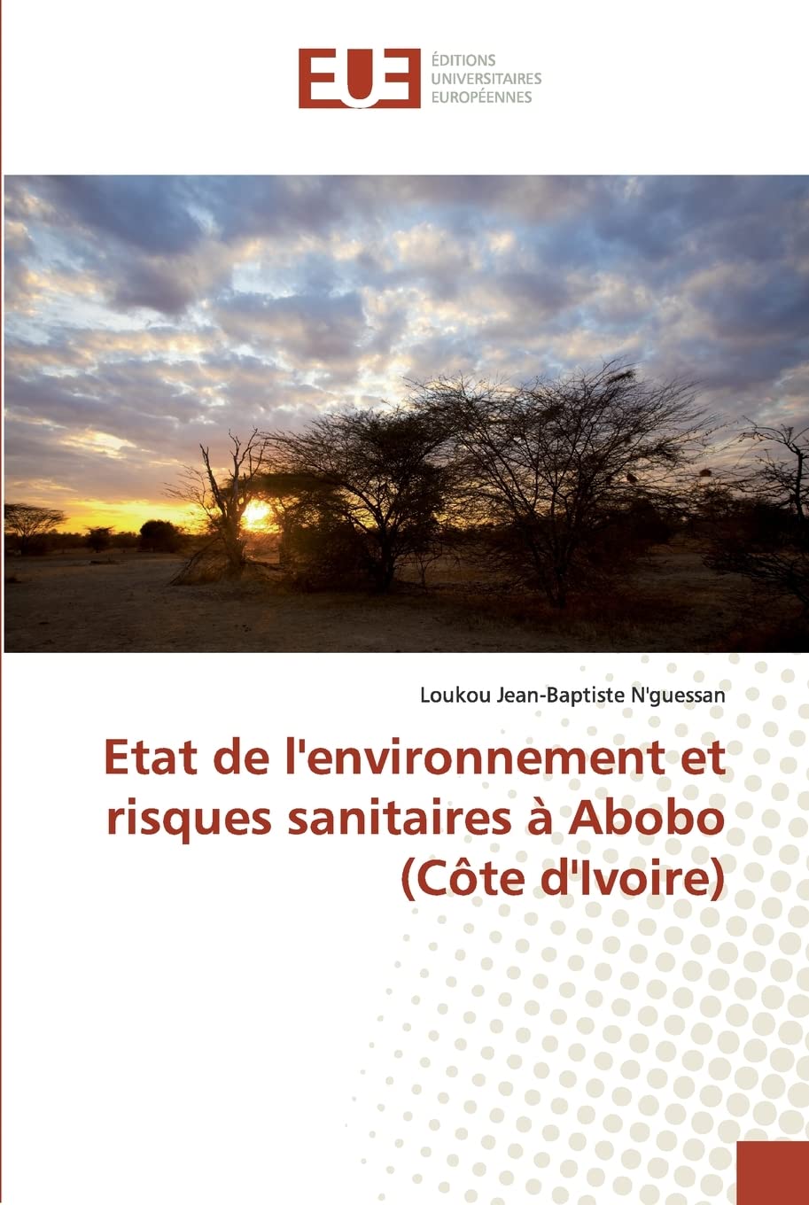 Etat de l'environnement et risques sanitaires à Abobo (Côte d'Ivoire)