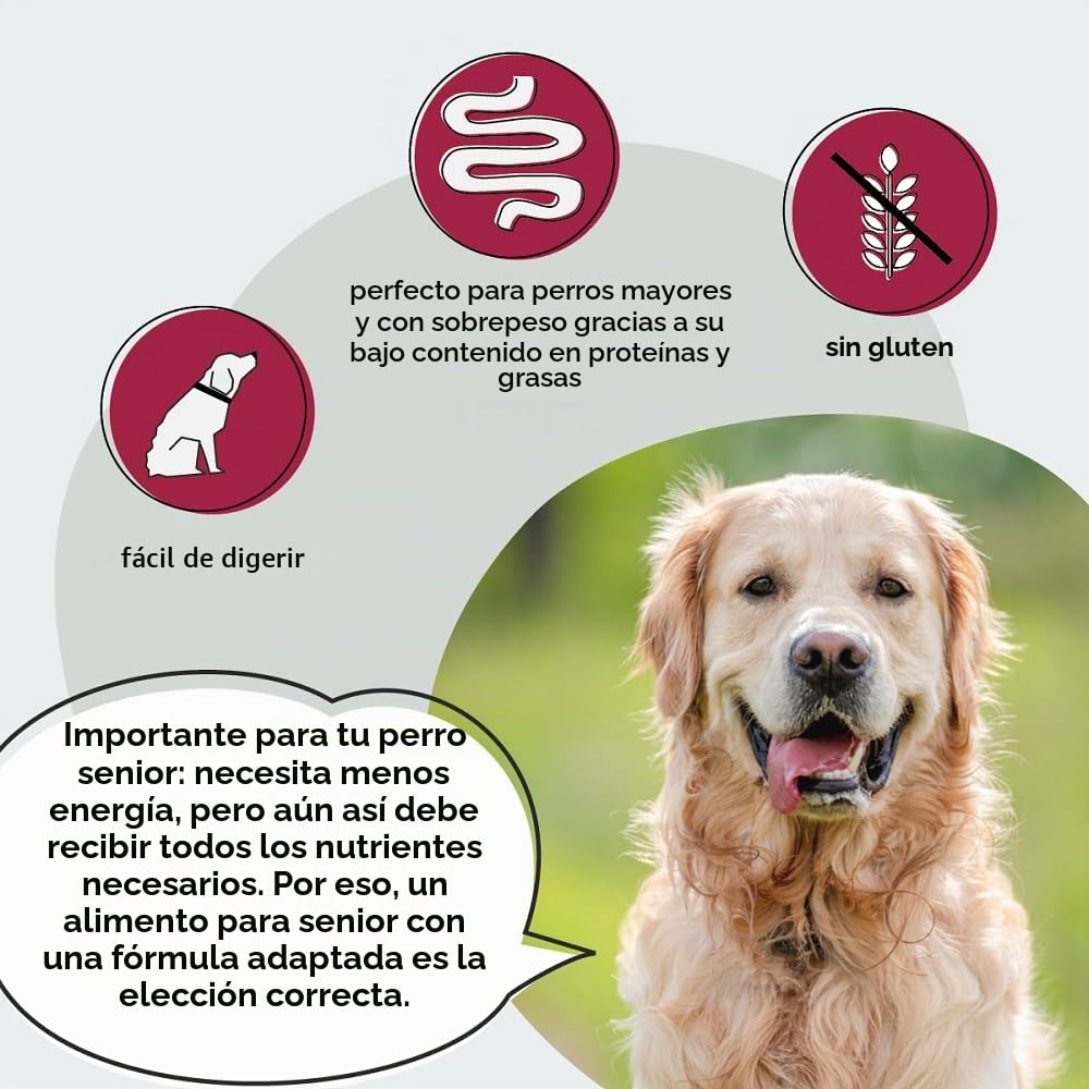 Grau – El Original – Pienso deshidratado para Perros - Senior - Ave, Pack Individual (1 x 12 kg), sin Gluten, para Perros de Edad Avanzada delicados