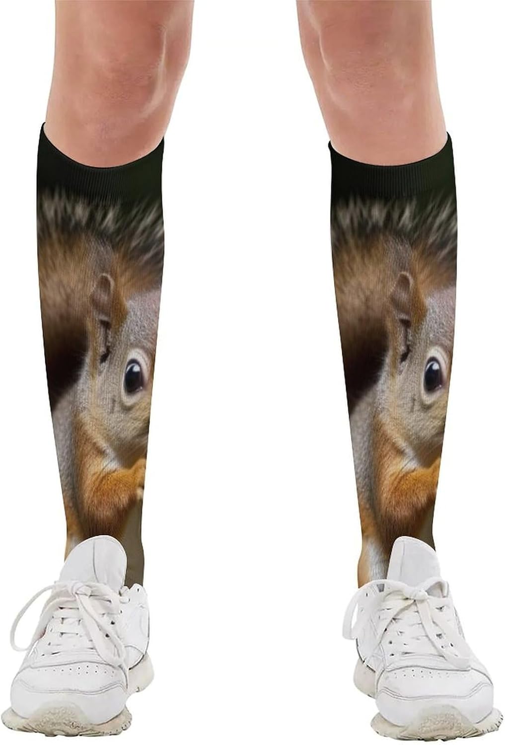 Knee High Socks Squirrels Long Tube Boot Seamless Toe