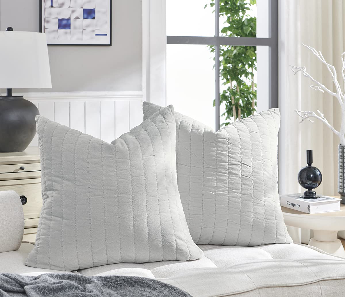 COCOPLOCEUS Luxurious Velvet Euro Shams Decorative Throw Pillow Covers