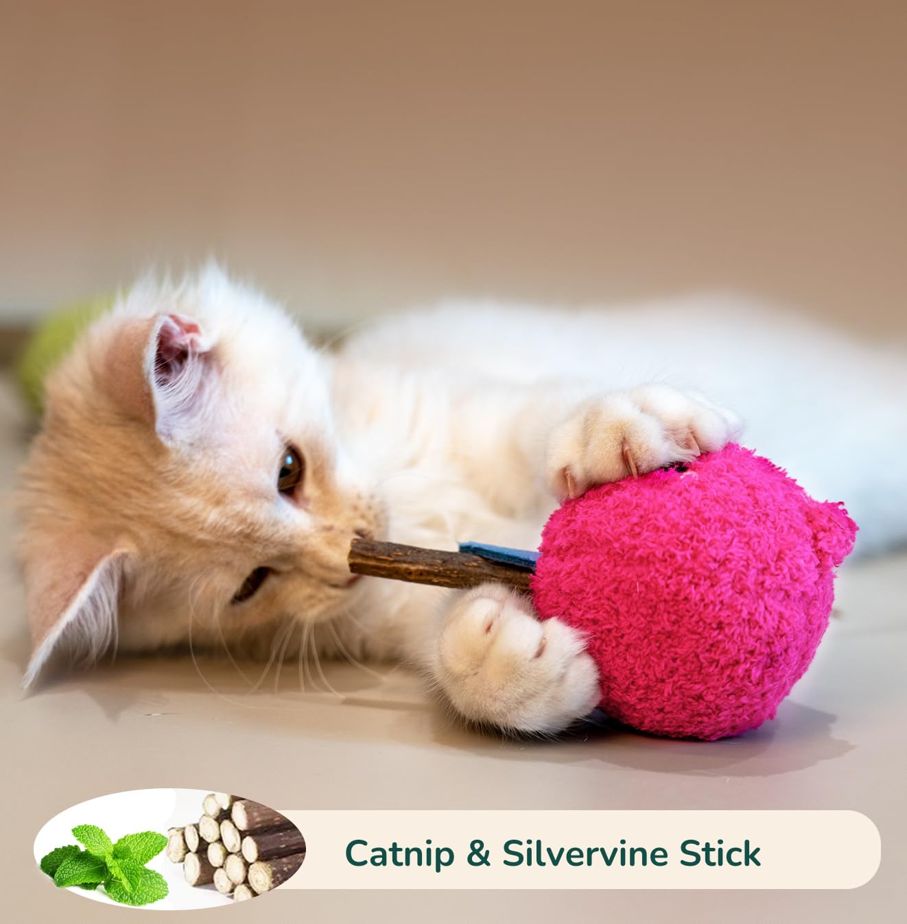 Petelligent Durable and Interactive Catnip Toys Teething Silvervine Stick Cat Toys: Chewing Stick, Grinding Teeth Rod - Image 3