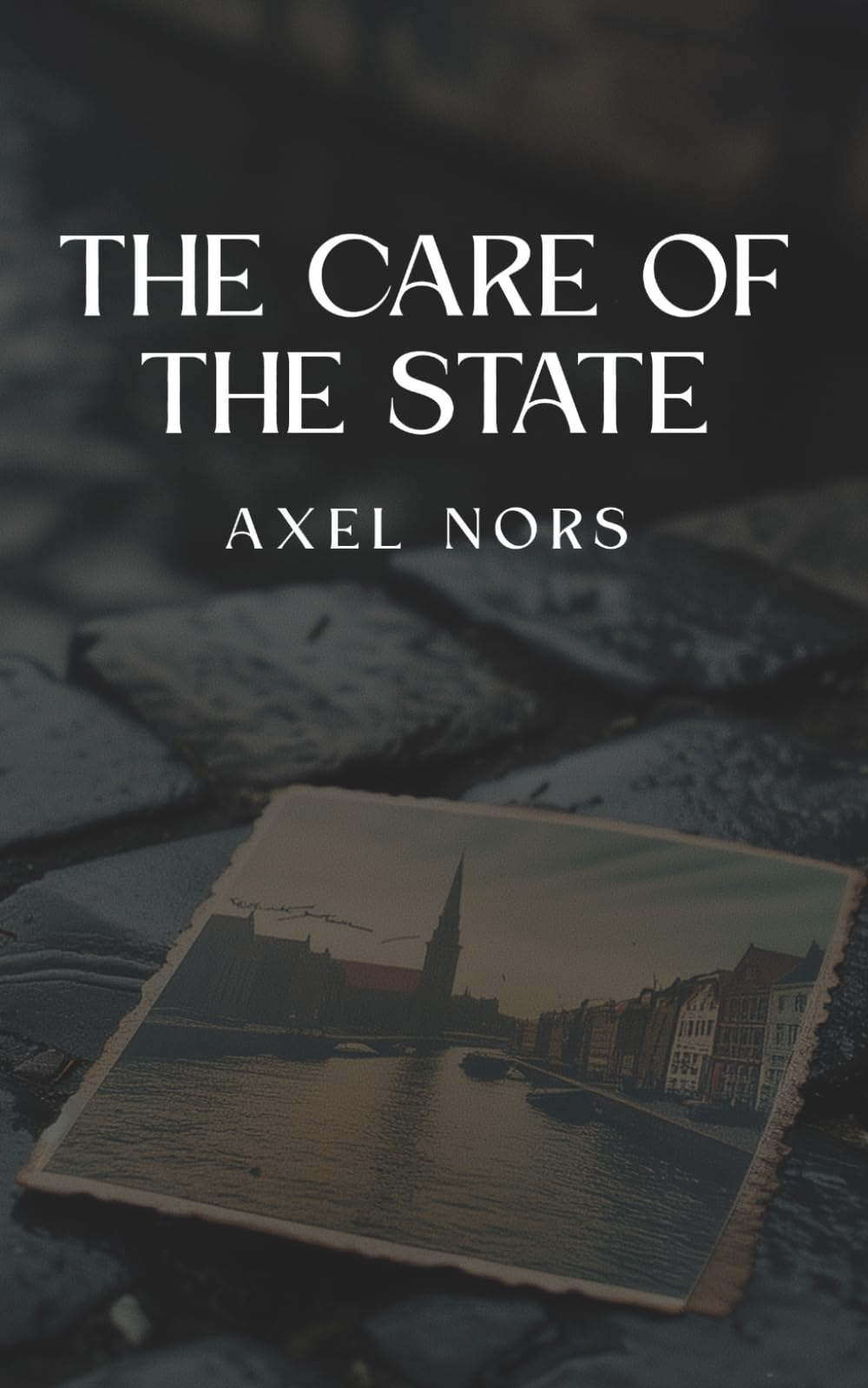 The Care of The State: A Nordic Noir Novel of Institutional Failure