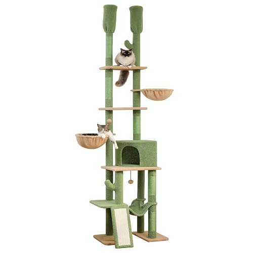 PETEPELA Árbol de Cactus para Gatos de Piso a Techo