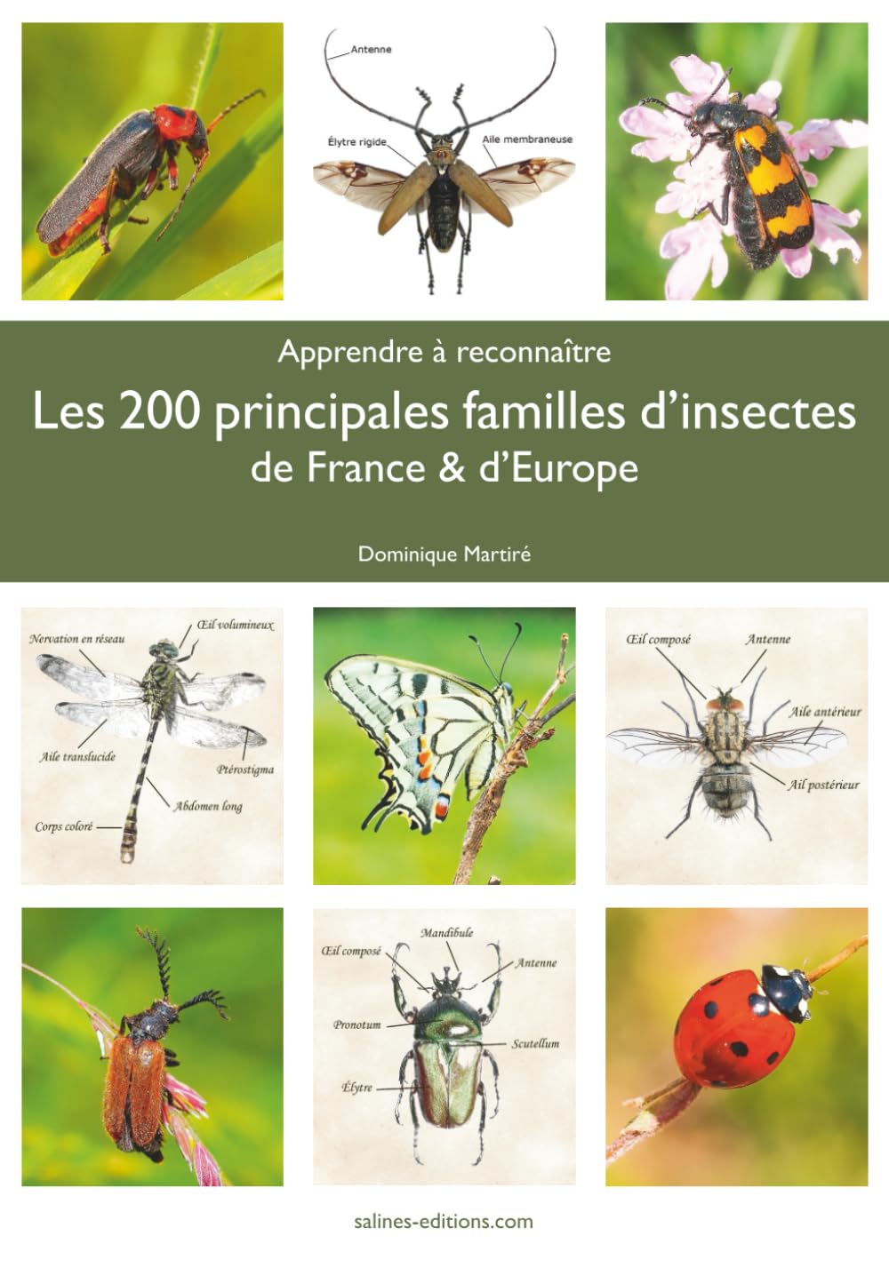Les 200 principales familles d'insectes de France & d'Europe (French Edition)